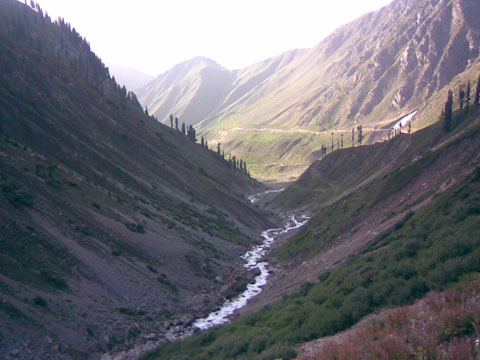 saiful muluk