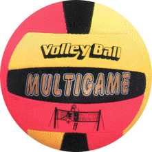 volleyballs